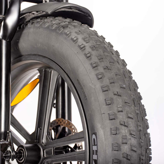 Superfun R2 750W  Electric Bike for Adults with 20 x 4.0inch Fat Tire  Full Suspension